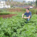 Canarias utilizará alimentos ecológicos y locales en los comedores escolares de varios colegios
