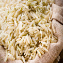 arroztransgenico-bayer