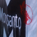 ley monsanto argentina