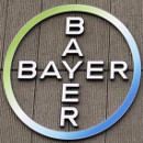 transgenicos patentes bayer