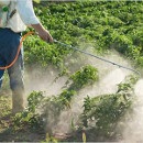 coste pesticidas fumigaciones agrotoxicos