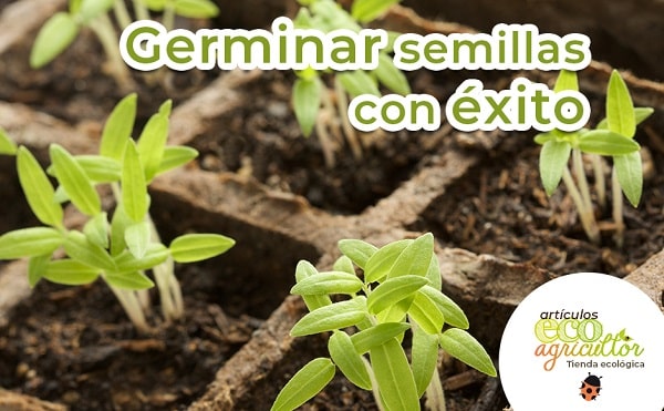 germinar semillas