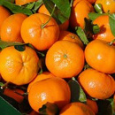 mandarina2