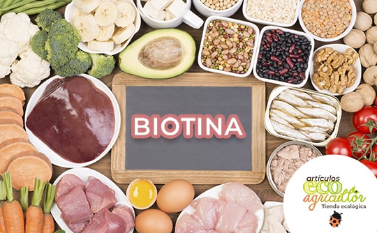 alimentos con biotina