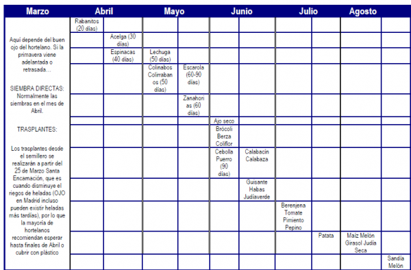 ¿Cuál es la mejor forma de organizar mi huerto?