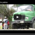 Documental: Bajo la Palma