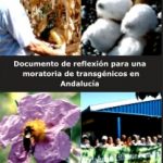 Documento de reflexión para una moratoria de transgénicos en Andalucía
