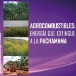 Documento «Agrocombustibles: Energía que extingue a la Pachamama»