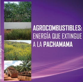 agrocombustibles pachamama