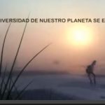 Vídeo: La Biodiversidad de nuestro planeta se extingue