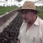 Vídeo: Flores prohibidas con Josep Pámies