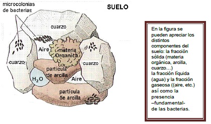 suelo de cultivo