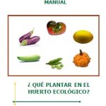 Manual: ¿Qué plantar en el huerto ecológico?