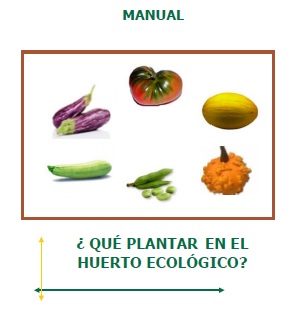 ecocosecha