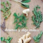 Manual: Hierbas aromáticas en la huerta