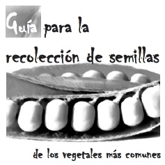 guia recoleccion de semillas