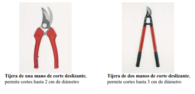 Huerto Familiar – Herramientas que se precisan para hacer injertos