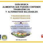 Guía alimentos que pueden contener transgénicos en Chile