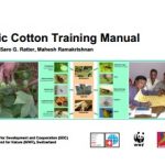 Manual cultivo orgánico de algodón (En inglés)