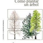 Manual: Cómo plantar un árbol