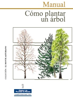 manual como plantar un arbol