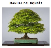 manual del bonsai