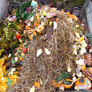 pila compost