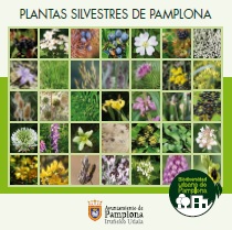 plantas silvestres de pamplona