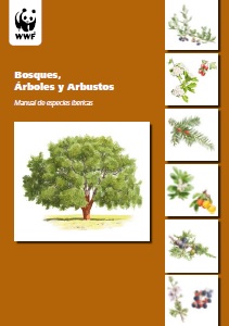 bosques arboles y arbustos