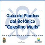 GUÍA DE PLANTAS DEL BOTÁNICO CELESTINO MUTIS