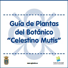 guia plantas botanico1