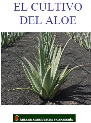 manual cultivo aloe vera