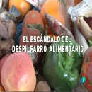 el escandalo del despilfarro alimentario