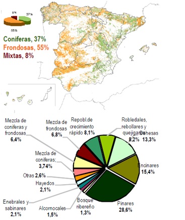 situacion forestal en españa mapa distribucion