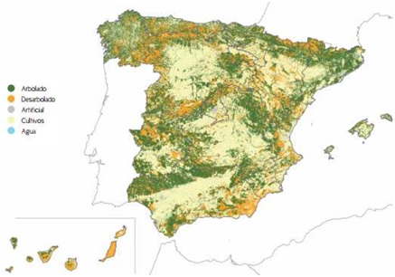 situacion forestal españa mapa