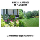 guia plagas huertos y jardines