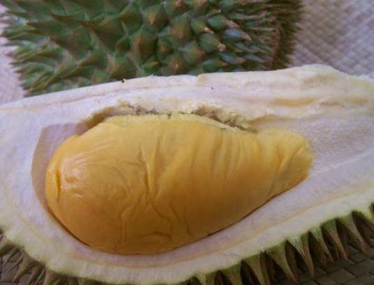 propiedades durian