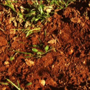 video el suelo en la agricultura ecologica