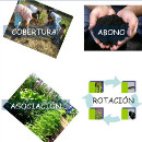 huerta agroecologica