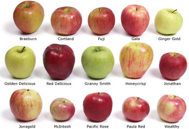 tipos de manzana