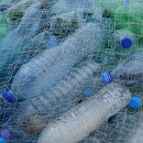 disruptores botellas plastico