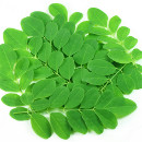 beneficios moringa