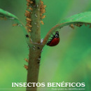 insectos beneficiosos