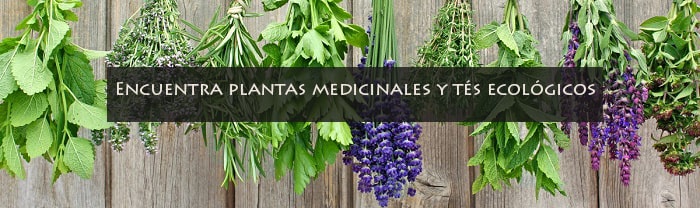 plantas medicinales ecologicas