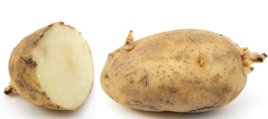 cultivar patatas