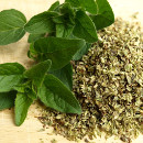 propiedades beneficios oregano