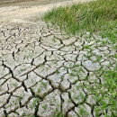 agricultura ecologica cambio climatico