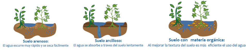 TIPOS DE SUELO Y AGUA