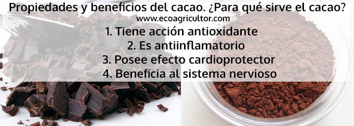 propiedades cacao