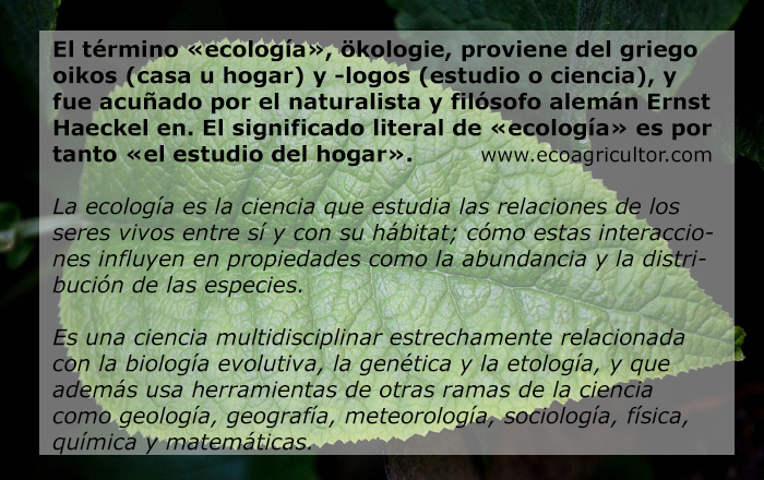 Padre Usual Nombrar Ecología: qué es y en qué se diferencia de la biología y el medio ambiente